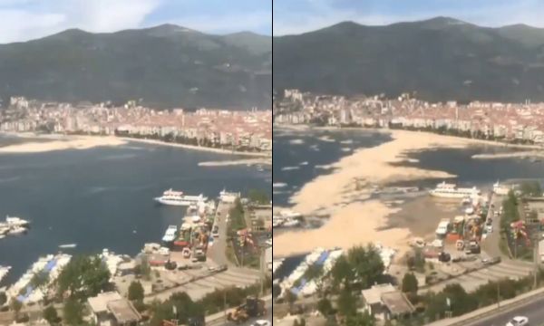 Deniz salyası, sahil şeridini böyle kapladı!